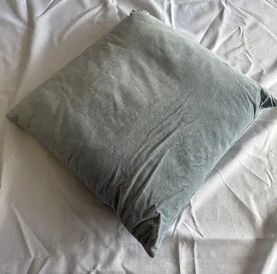Blue Cushions